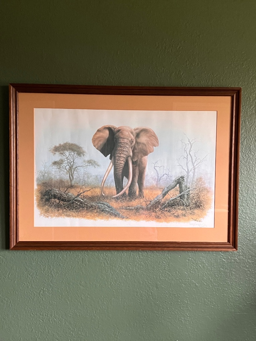 Vintage Limited Edition Art Print Ahmed of Kenya Denis Murphy Signed 122/1000